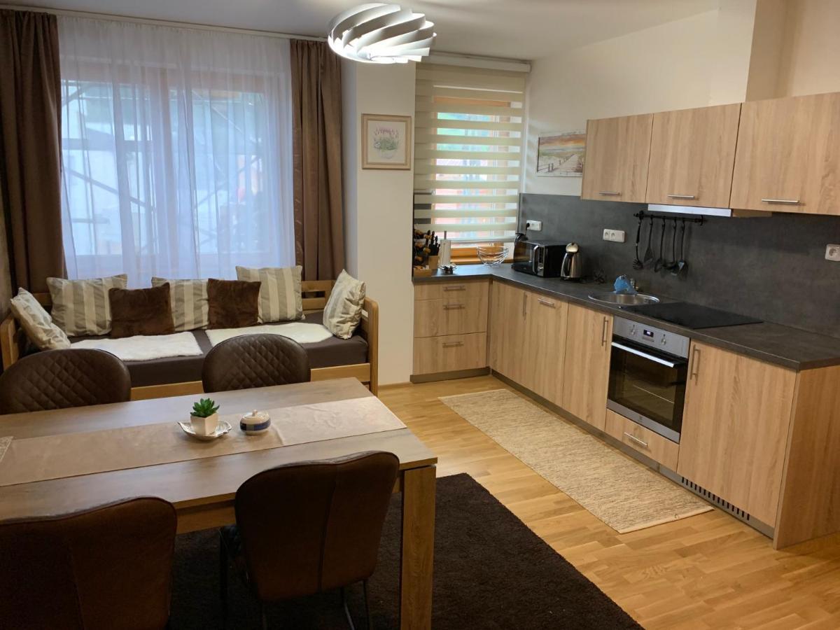 Apartmany Rezidence Klostermann & Javor Zelezna Ruda Exterior photo